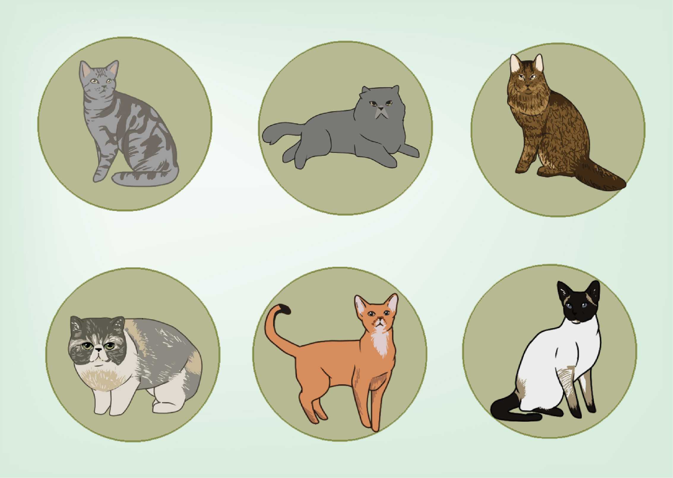Cats